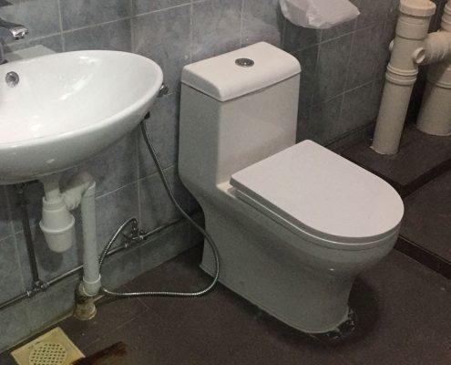 toilet bowl replacement works