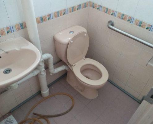 hdb toilet bowl(before)