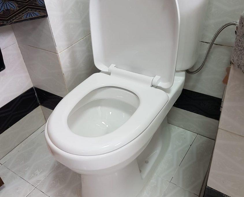 Toilet Bowl Choke Causes, Prevention & Fix Plumber Singapore
